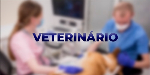 Vet