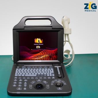Veterinary Ultrasound