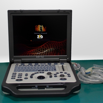 Veterinary Ultrasound